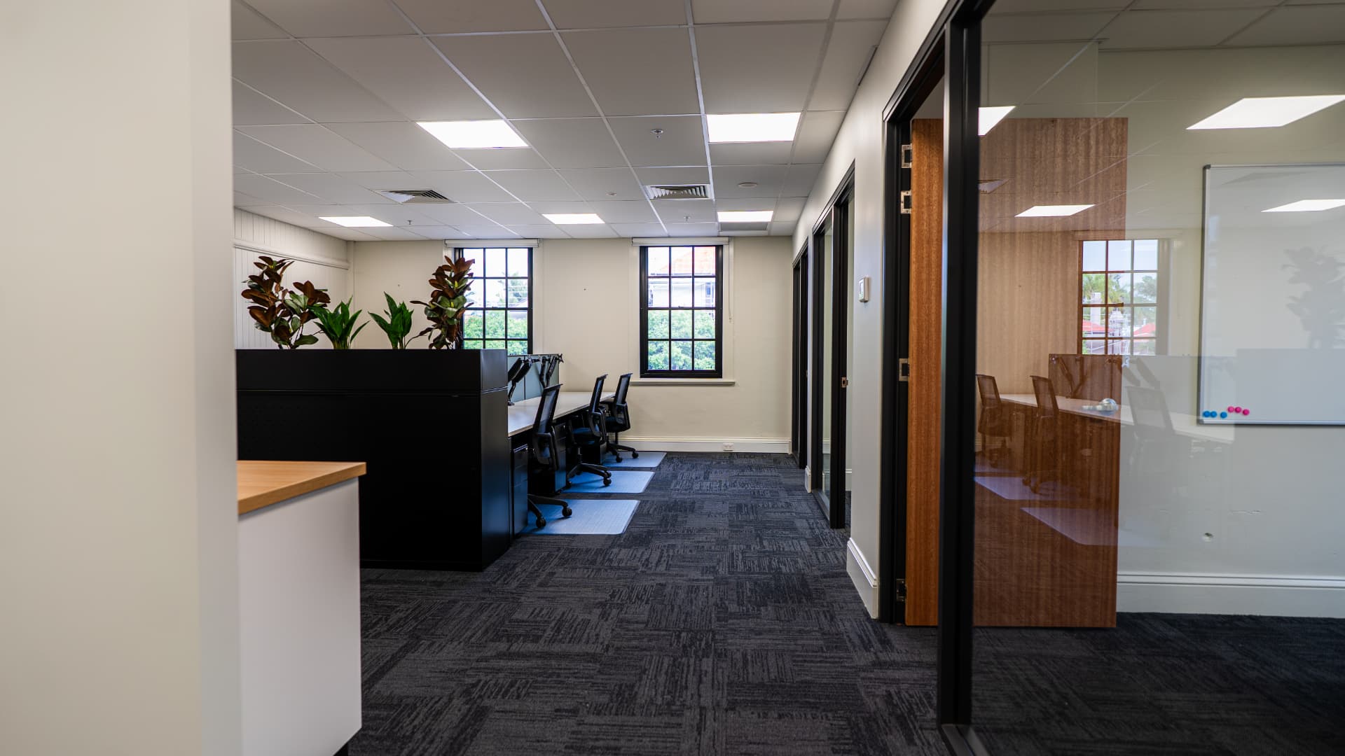 Completed office fit-out with open workstations and glazed meeting rooms